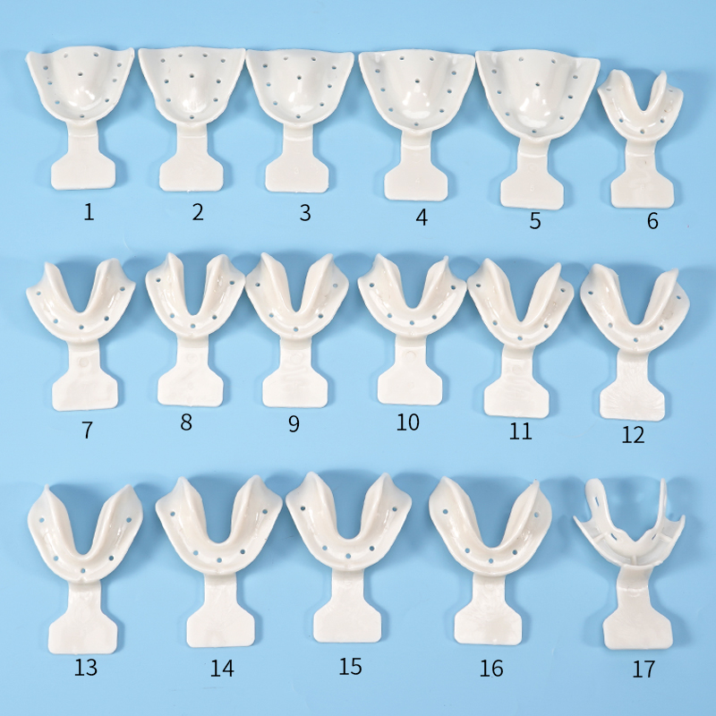 17-teiliges Dental-Abdrucklöff – Teeth Whitening Trays Bewertung und Preis
